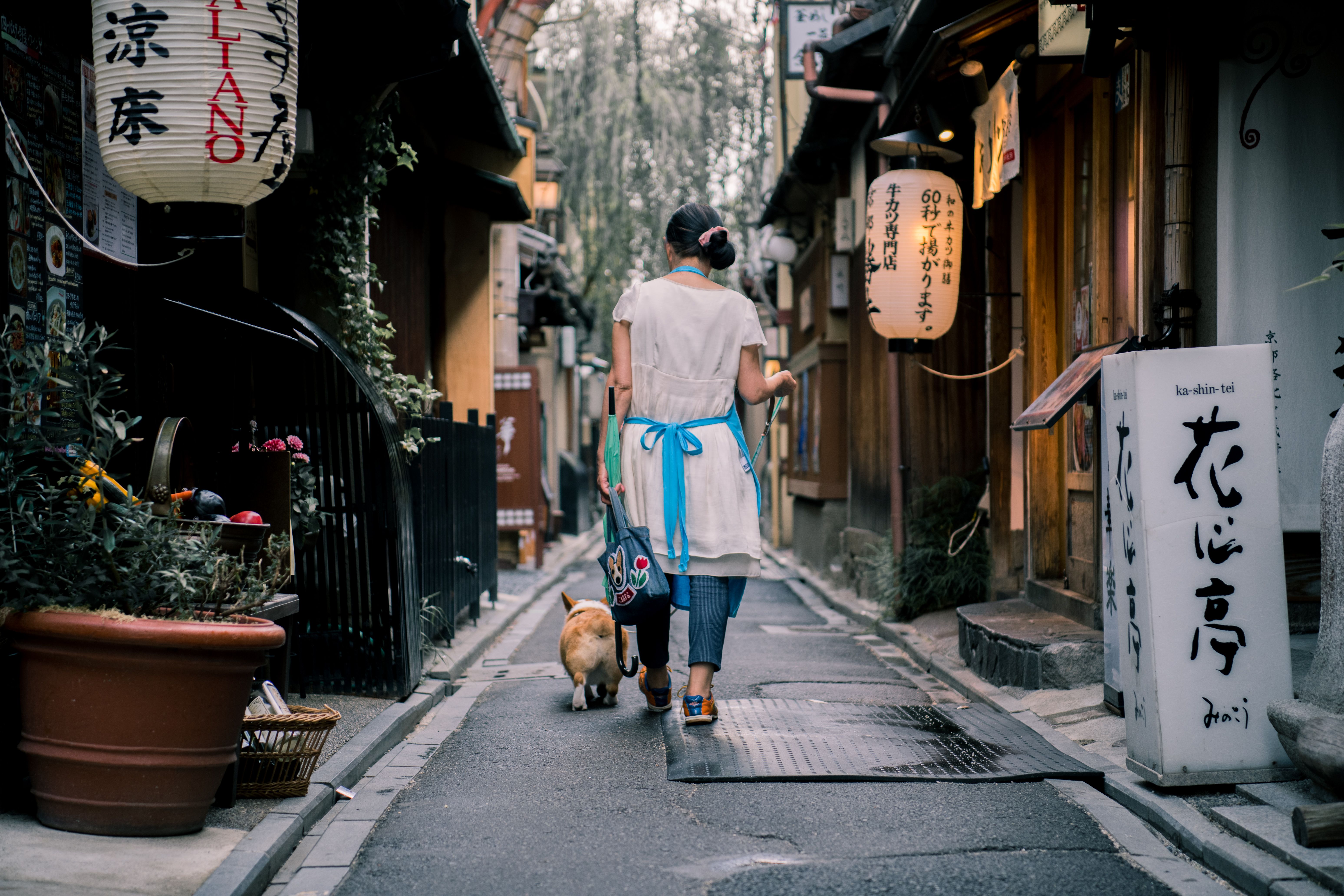 Ace Hotel Kyoto at Dawn — A Machiya-Inspired Room Worth the Rate?