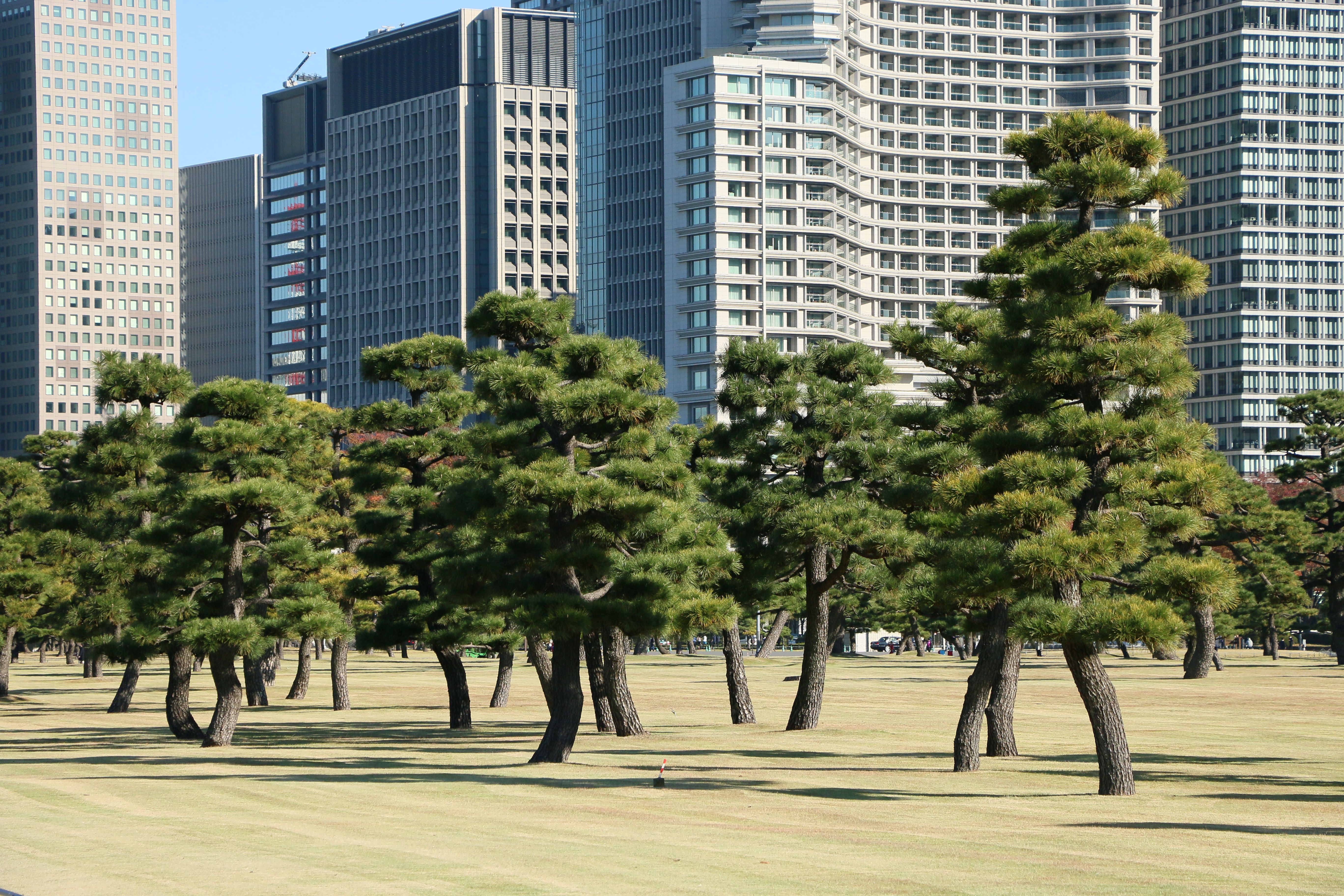 Tokyo's Quietest Luxury Hotel Is Hidden in Plain Sight — The EDITION Toranomon