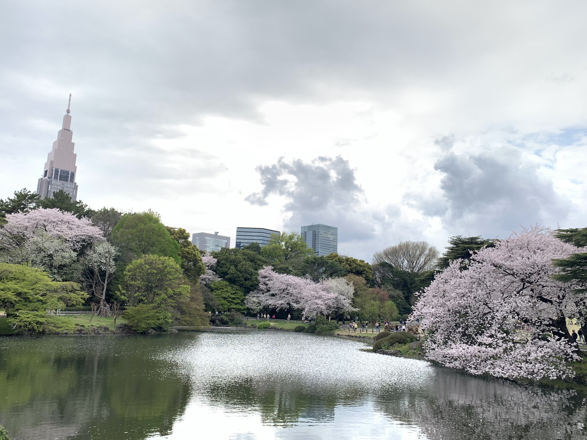 Tokyo's Park Hyatt Shinjuku: Still Worth the Rate in 2026?